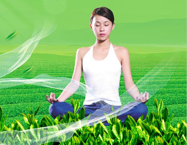 特拉华州怎么买假的